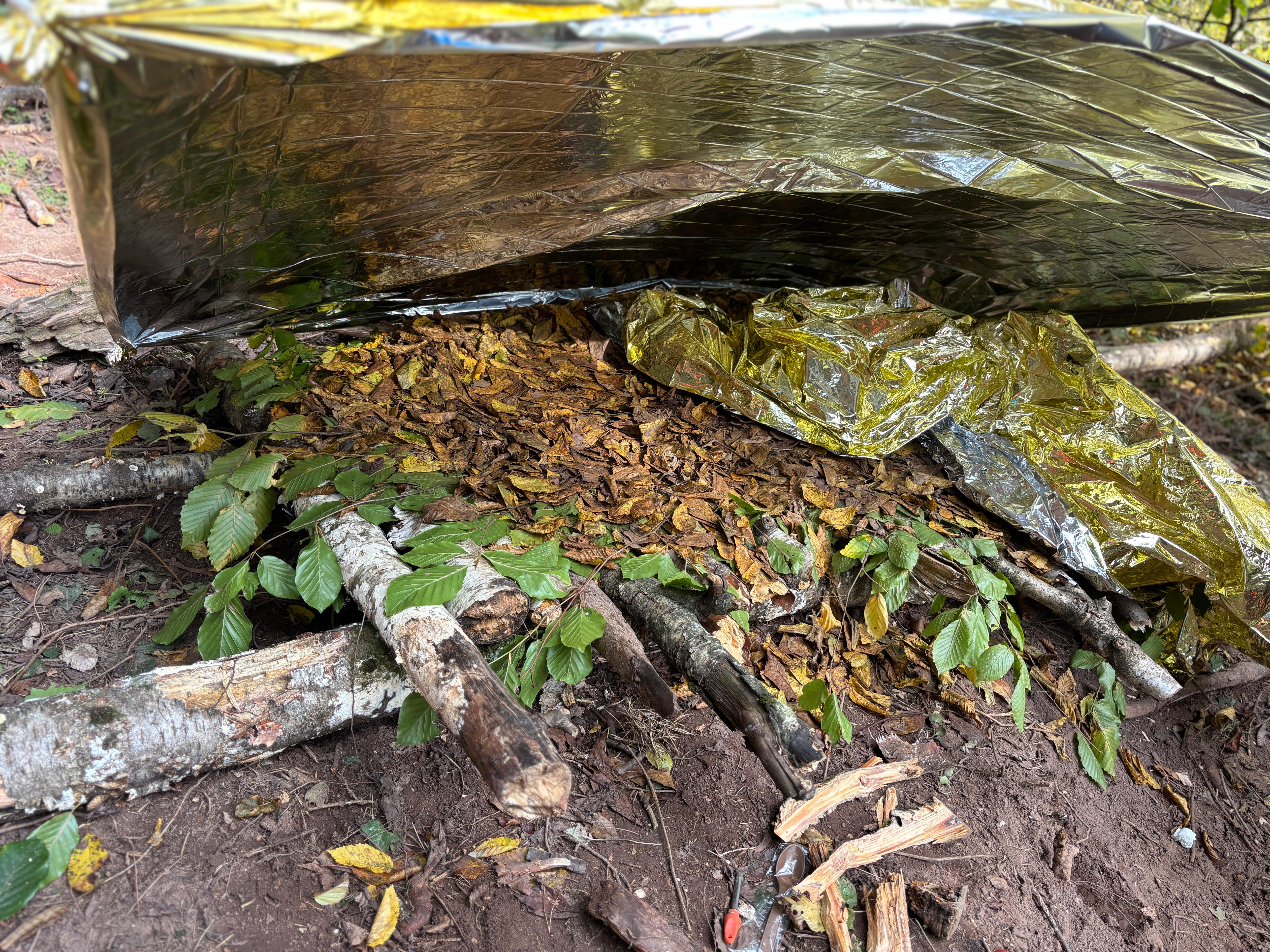 Survival Pfalzventure